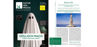 Wirksame Selbstfürsorge durch Bewusstsein für den feinstofflichen Körper (in: Naturheilpraxis, 12.2025)